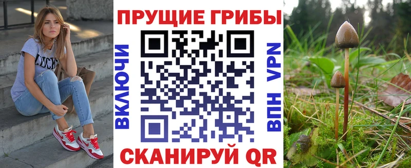 Псилоцибиновые грибы Magic Shrooms  Богучар 